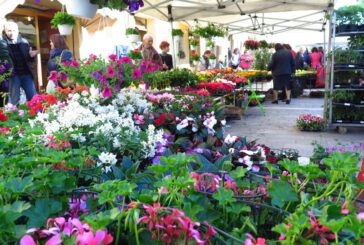 “Cetona in Fiore” torna la mostra-mercato di piante e fiori