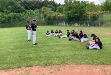 Baseball giovanile: conclusa la Regular Season