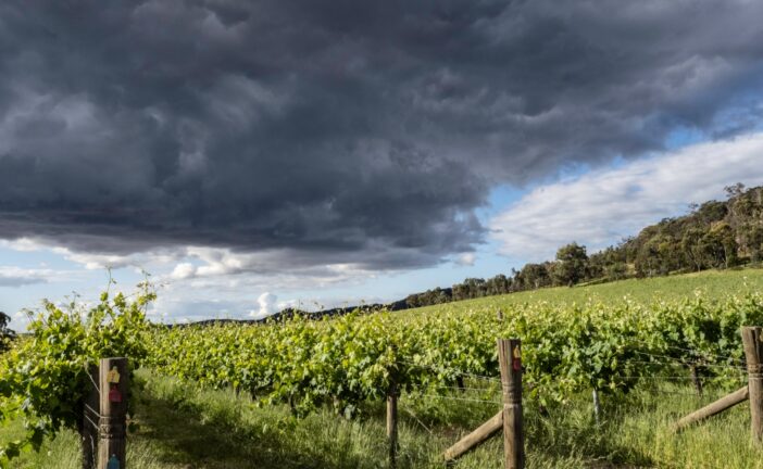 Coldiretti Toscana: “Maltempo: al via la conta dei danni nei campi”