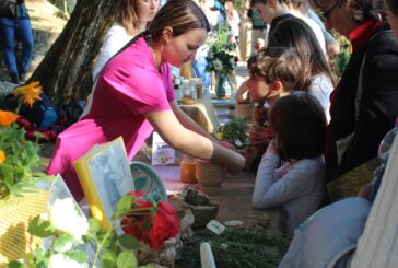 Torna la Festa dei Musei con uno sguardo alla sostenibilità