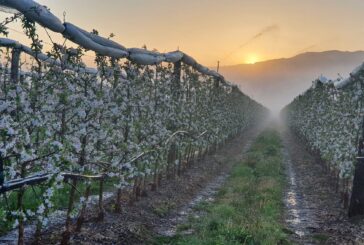 Difesa del suolo e irrigazione: la valle del Clanis e i cambiamenti climatici