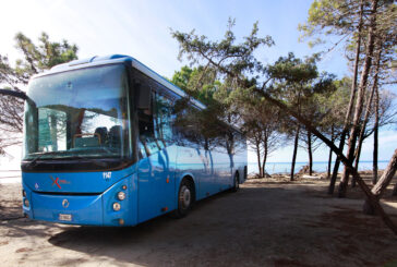 10 giugno: i “mare bus” partono da Siena, Poggibonsi e Chianciano