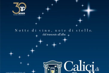 In Toscana un calice sotto le stelle anche con gli amici a 4 zampe