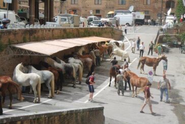 I soprallassi… attesa in Piazza del Mercato