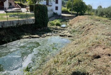 Il CB6 rimuove la vegetazione infestante lungo il torrente Ripi