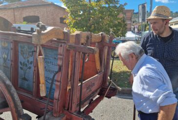 La Fiera alla Pieve in favore della Fondazione Ospedale Pediatrico Meyer