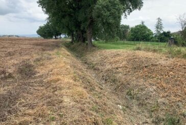 Cb6 impegnato nella manutenzione sul borro Bestinino ad Asciano