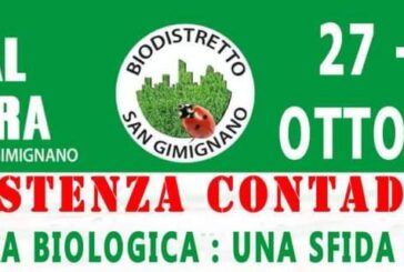 L’agricoltura bio protagonista tra le torri: torna il Festival della Terra