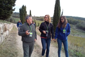 A Rapolano e Castellina in Chianti torna la Camminata tra gli ulivi