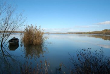 Lago di Montepulciano: alla scoperta del canneto, cuore pulsante della Riserva naturale