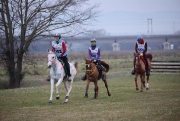 Equitazione: ad Arezzo la finale di Endurance Festival Terre Toscane