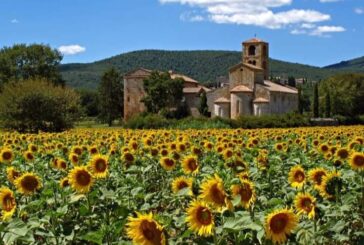 Il futuro delle imprese di Sovicille: Confesercenti incontra i candidati