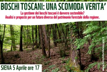 “Boschi toscani: una scomoda verità”. Il documentario in anteprima a Siena