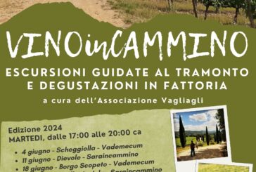 Vino in Cammino: il martedì escursioni al tramonto con degustazione in fattoria