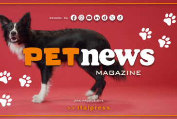 PetNews Magazine – 30/4/2024