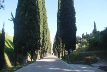 Montepulciano: incuria per i cippi dei caduti della Grande Guerra