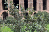 Inquinamento e archeologia: studio dell’UniSi nel Parco Archeologico del Colosseo