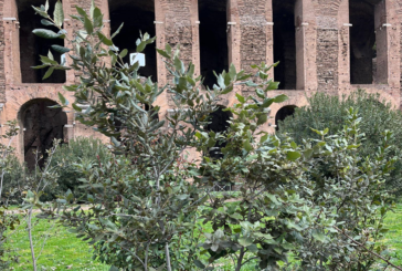 Inquinamento e archeologia: studio dell’UniSi nel Parco Archeologico del Colosseo