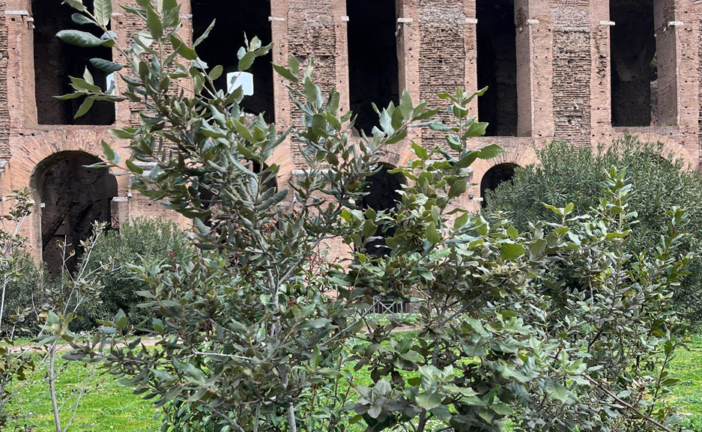 Inquinamento e archeologia: studio dell’UniSi nel Parco Archeologico del Colosseo