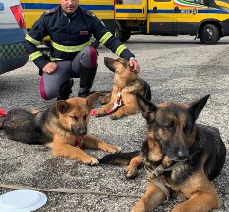 #senontiportononparto: spot della Polizia contro l’abbandono degli animali