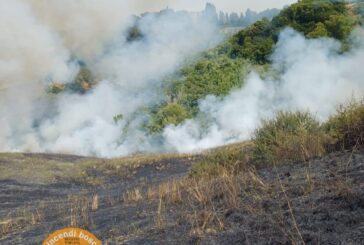 Spento l’incendio boschivo a Torre a Castello