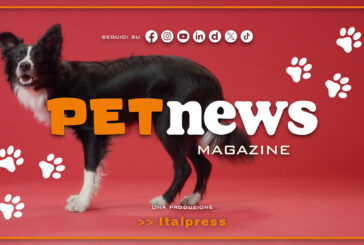 PetNews Magazine – 2/7/2024