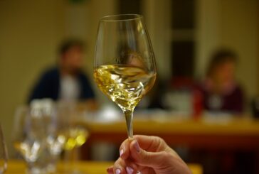 Vini italiani e mercati mondiali: aperte le iscrizioni al 10° master universitario