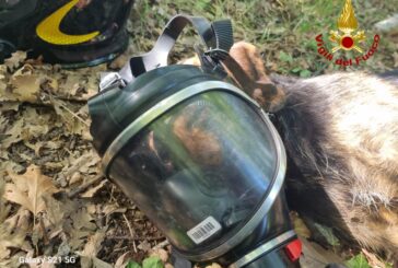 Cane caduto in una fumarola salvato dai Vigili del fuoco