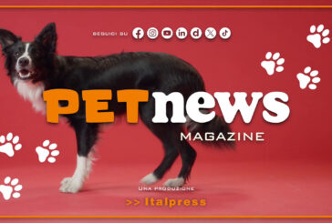 PetNews Magazine – 27/8/2024