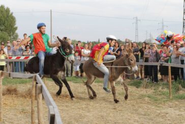 Montepulciano Stazione si accende con il 41° Palio dei Somari