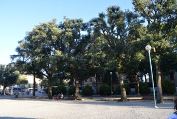 Gli anni liberty di Siena, tra Robur villini e panforte