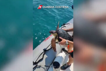 Guardia costiera di Pozzallo soccorre tartaruga Caretta caretta