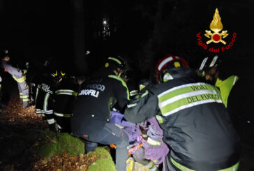 Cercatore di funghi 80enne trovato morto nel bosco badengo