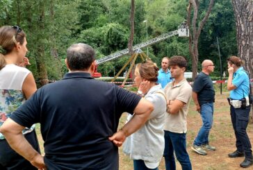 Cade il ramo di un pino al Vallone: parco chiuso e verifiche in corso