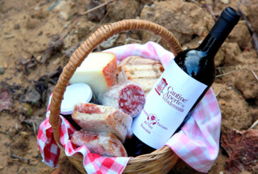 Merenda in vigna in Toscana con Cantine aperte in Vendemmia 