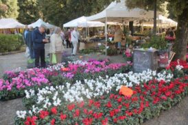 Siena in fiore: un appuntamento da non mancare