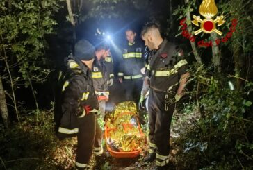 Uomo perde l’orientamento nel bosco: ritrovato nella notte dai Vigili del fuoco