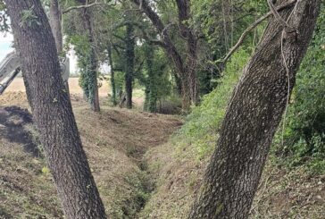 Manutenzione all’Ombrone nel territorio di Pienza