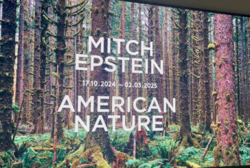 Intesa Sanpaolo, a Torino la mostra “Mitch Epstein. American Nature"