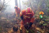 Il punto sugli incendi boschivi in Toscana: analisi e dati