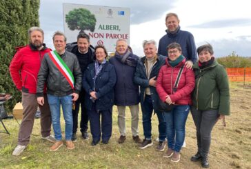 Alberi, non parole: il Nobile di Montepulciano per la giornata dell’albero