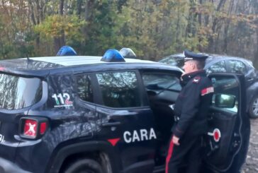 Spaccio nei boschi: due persone denunciate dai Carabinieri