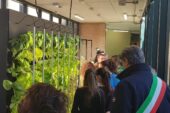 Agricoltura verticale tra i banchi di scuola, ai Licei Poliziani nasce la Vertical Farm