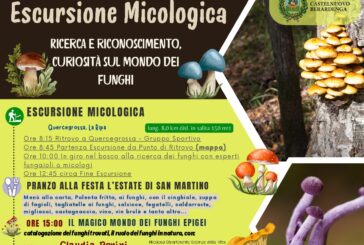 “La vita segreta dei funghi”: escursione con micologo e pranzo alla festa L’estate di San Martino