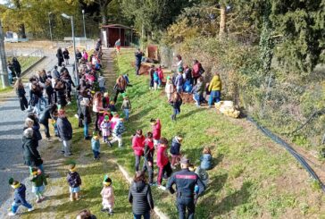 San Casciano dei Bagni: piantato l’Albero di Falcone alla scuola primaria