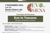 EVO in Siena: la celebrazione dell’olio extravergine di oliva della Toscana