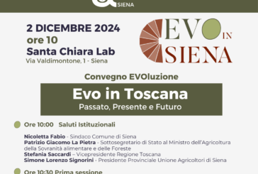 EVO in Siena: la celebrazione dell’olio extravergine di oliva della Toscana