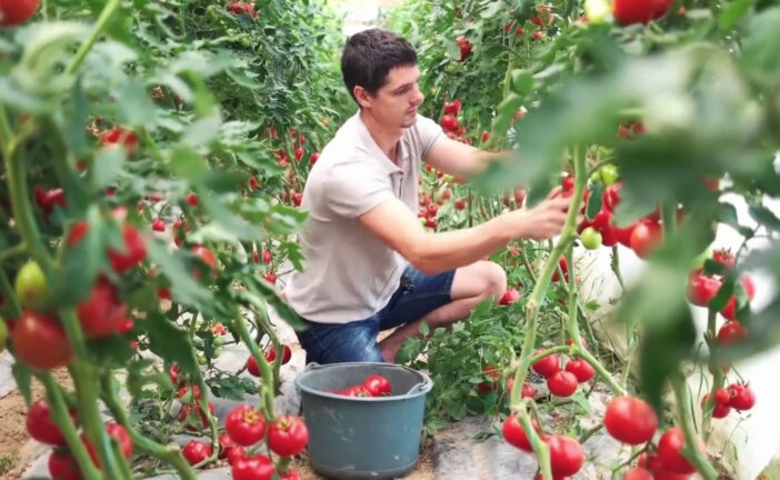 Agroalimentare, migliora l'autosufficienza in Italia