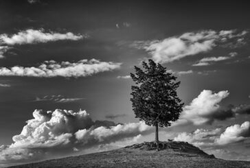 A Montepulciano la mostra fotografica ispirata a “La Guerra in Val d’Orcia”