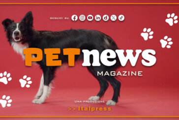 PetNews Magazine – 24/12/2024